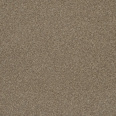 Ковровая плитка Interface Level Up 4267012 Sienna фото 1 | FLOORDEALER